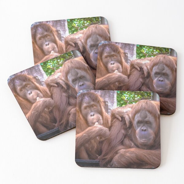 Item preview, The Naughty Orangutan designed and sold by Steven Jodoin.