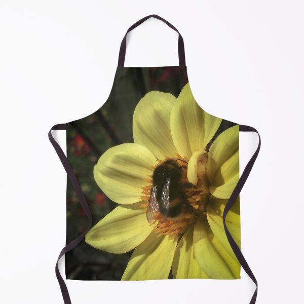 Aperçu de l'œuvre Bumble Bee collecte de pollen à partir d'une seule fleur de Dahlia pétales jaune doux 023 créée et vendue par Bees-n-Flowers.