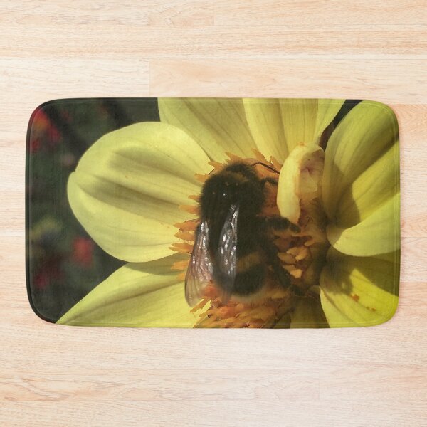 Artikelvorschau, Hummel sammelt Pollen von Single Dahlia Flower Mellow Yellow Petals 023 entworfen und verkauft von Bees-n-Flowers.