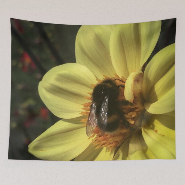 Item preview, Bumble Bee gathering pollen from Single Dahlia Flower Mellow Yellow Petals 023 designed and sold by Bees-n-Flowers.