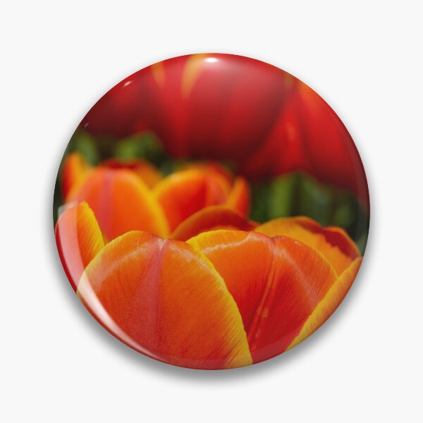 Artikelvorschau, Tulpen entworfen und verkauft von HSFotode.