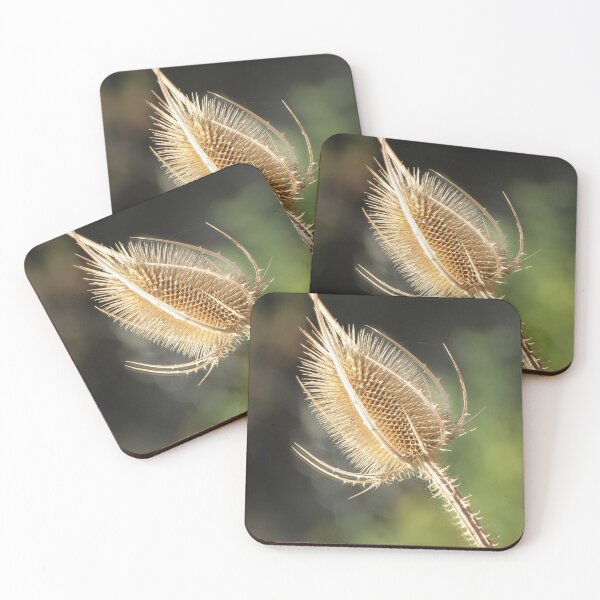 Item preview, Spikes and spines. designed and sold by Paul Pasco.
