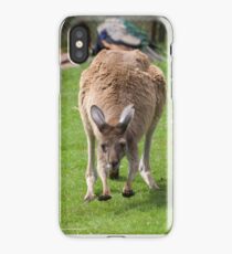 Kangaroo iPhone Case/Skin
