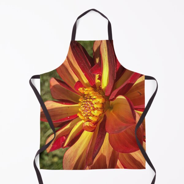 Item preview, Red and Yellow Decorative Dahlia Gallery Singer Flower Blossom 025 designed and sold by Bees-n-Flowers.