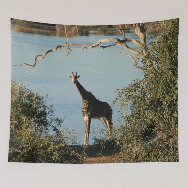 Item preview, Young Giraffe on Safari in Botswana, South Africa. designed and sold by KarenZuk.
