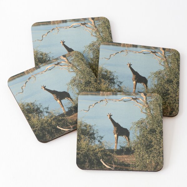 Item preview, Young Giraffe on Safari in Botswana, South Africa. designed and sold by KarenZuk.