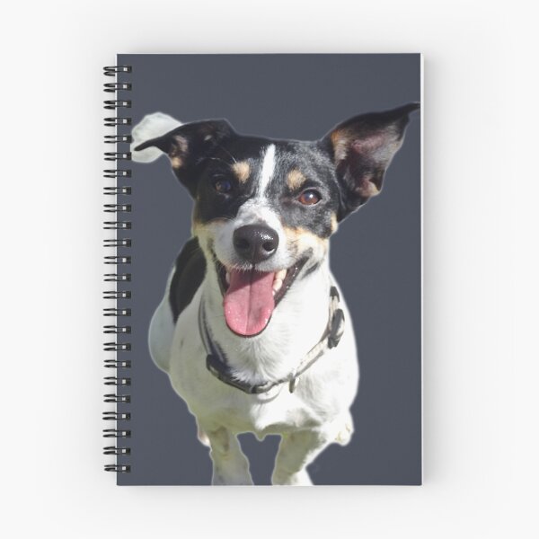 Item preview, Jaspe designed and sold by Jack Russell Rescue Australia.