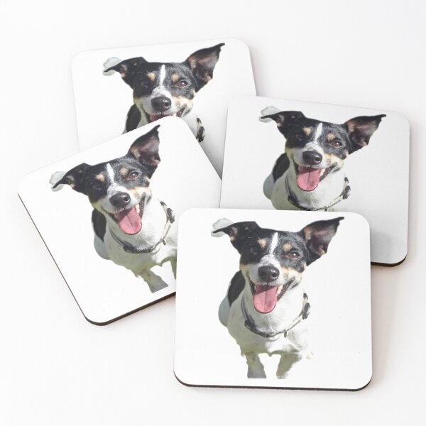 Item preview, Jasper designed and sold by Jack Russell Rescue Australia.