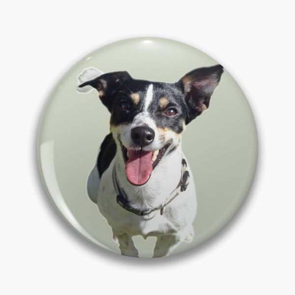 Item preview, Jasper designed and sold by Jack Russell Rescue Australia.