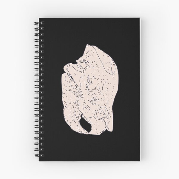 Item preview, Snapping Turtles - Reptile Fossil - Freshwater Chelydridae designed and sold by DeWinnes.