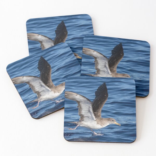 Item preview, Corey's Shearwater designed and sold by Glenn Welch.