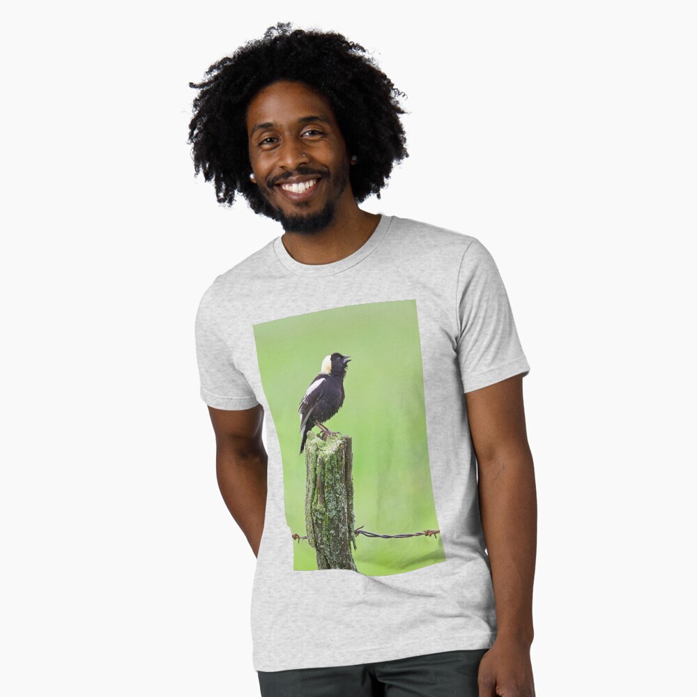 Bobolink