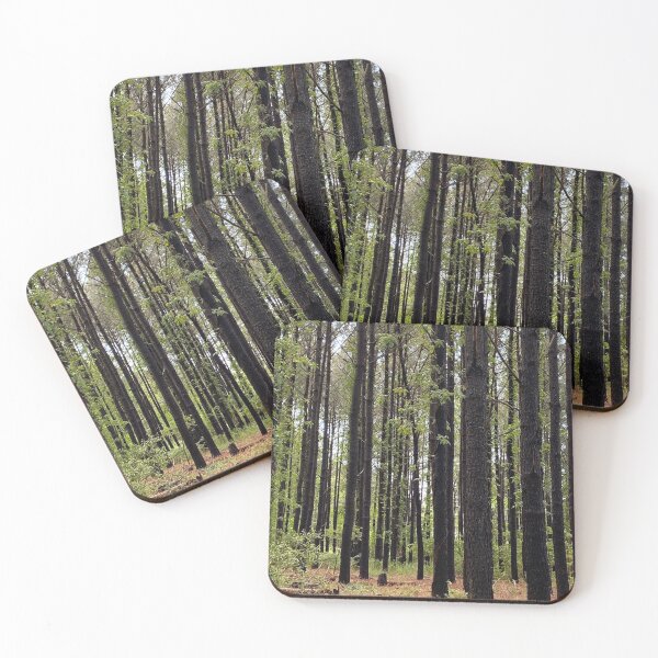 Item preview, Cathedral Walk designed and sold by KDQuin .
