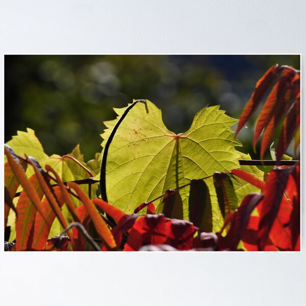 Item preview, leaf designed and sold by Wagonwheel1.
