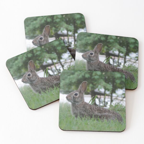 Item preview, Looking for carrots. designed and sold by XRoes.
