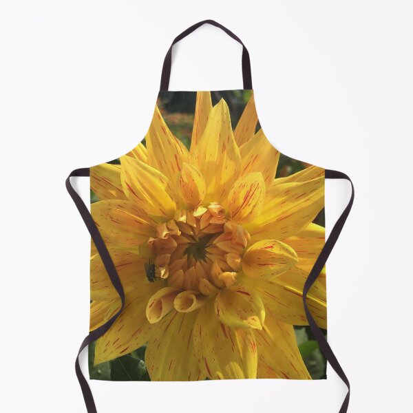 Item preview, Yellow with splashes of Orange Peppermint Dahlia Striped Vulcan Semi Cactus Flower 030 designed and sold by Bees-n-Flowers.