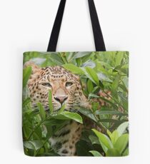Peek A Boo Leopard Tote Bag