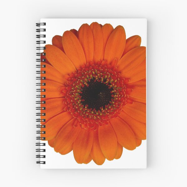 Artikelvorschau, Gerbera entworfen und verkauft von HSFotode.