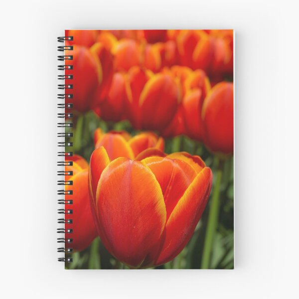 Artikelvorschau, Tulpen entworfen und verkauft von HSFotode.