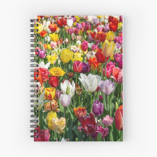 Aperçu de l'œuvre Prairie de tulipes créée et vendue par HSFotode.