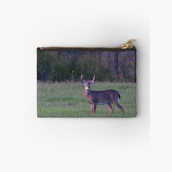 Item preview, September Deer - White-tailed deer designed and sold by James Cumming.
