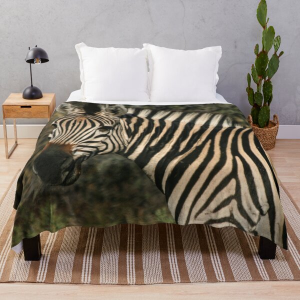 Item preview, Zebra on Safari in South Africa. designed and sold by KarenZuk.