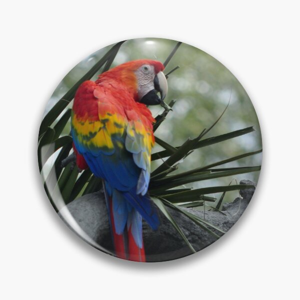 Item preview, Scarlet Macaw designed and sold by Kim McClain Gregal.