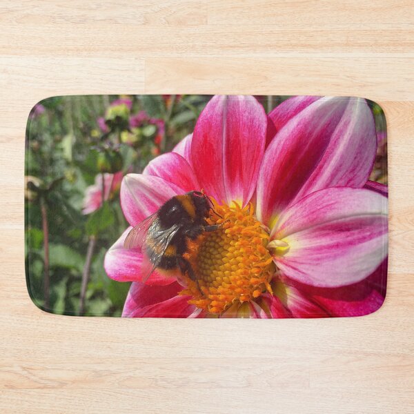 Artikelvorschau, Bienenernte Golden Orange Polen bilden eine hübsche rosa einzelne Dahlienblume 032 entworfen und verkauft von Bees-n-Flowers.