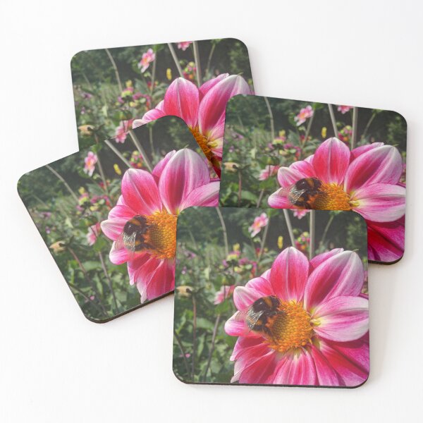 Item preview, Bee Harvesting Golden Orange Polen form a Pretty Pink Single Dahlia Flower 032 designed and sold by Bees-n-Flowers.