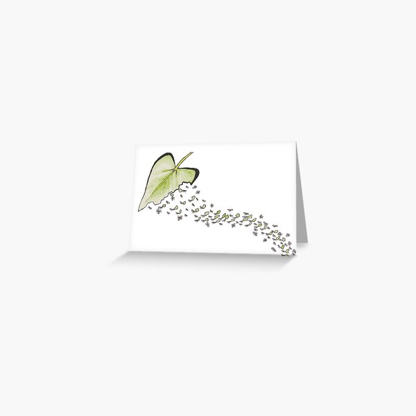Leafcutter ants Greeting Card