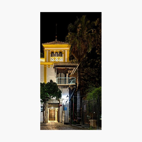 Vista previa del artículo con la obra «Balcón Rosinas Sevilla», diseñado y vendido por Weston  Westmoreland.