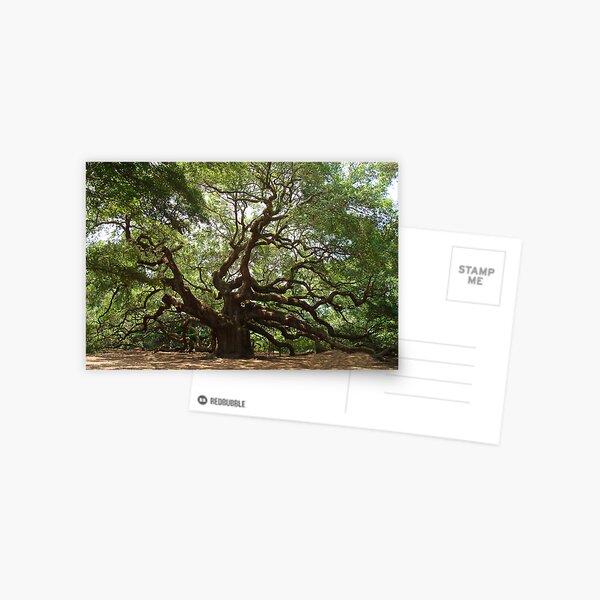 Item preview, Angel Oak, John's Island S Carolina designed and sold by barnsis.