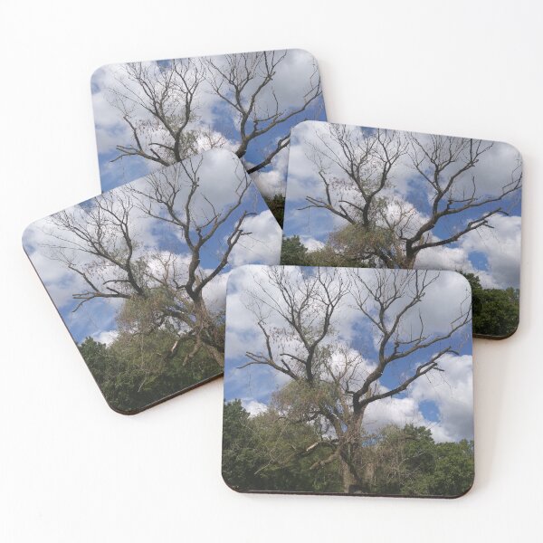 Item preview, Tall Tree designed and sold by NathanMoore92.