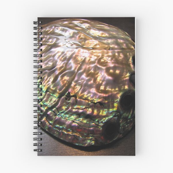 Artikelvorschau, Polierte Haliotis-Schale entworfen und verkauft von Spondylus.