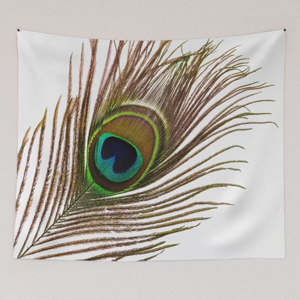 Item preview, Elegant Peacock Feather designed and sold by SulkaCreative.