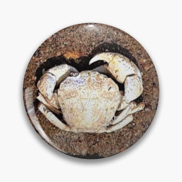 Item preview, Beachy Crab designed and sold by craftsbydaphy.