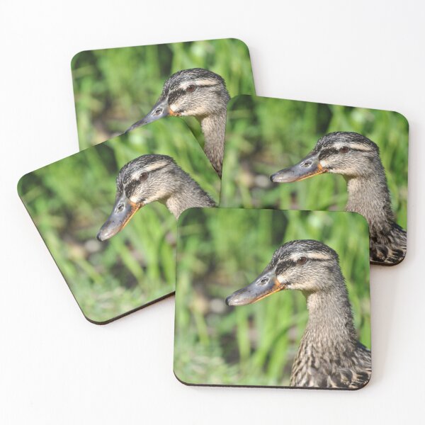 Item preview, Female Mallard Duck designed and sold by Wisps & Whiskers Designs.