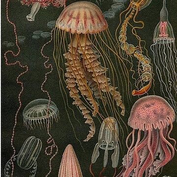 Imagen de la obra Medusa oscura Póster de abby-r2624