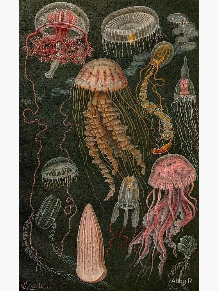 Imagen 3 de 3, Pegatina con la obra Medusa oscura Póster, diseñada y vendida por abby-r2624.