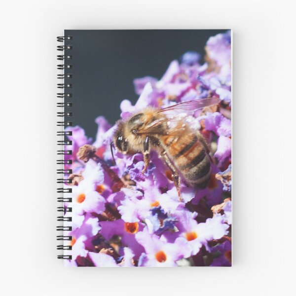 Item preview, Bee in Spring Closeup on Purple Flowers designed and sold by smnessen.