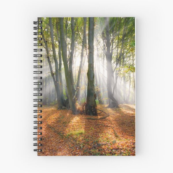 Item preview, Sunbeams in a beech forest designed and sold by Katho Menden.