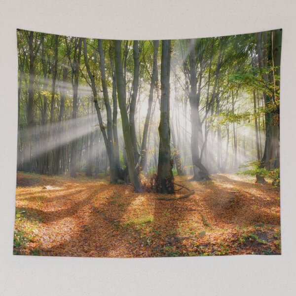 Item preview, Rayos de sol en un bosque de hayas designed and sold by Katho Menden.