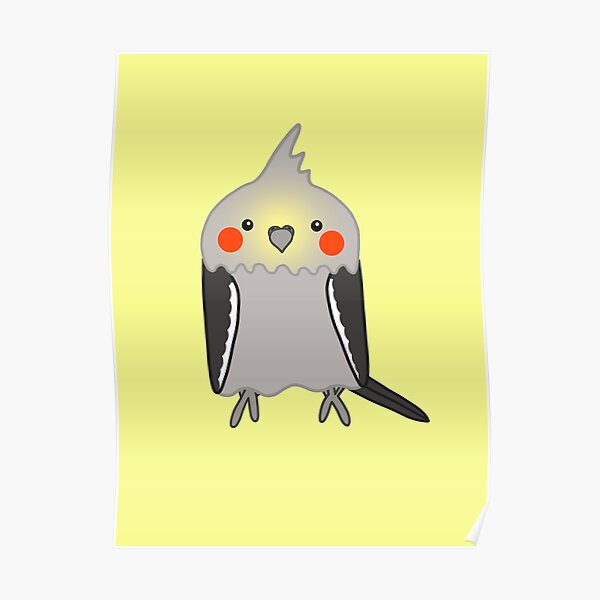 Cute grey cockatiel bird Poster