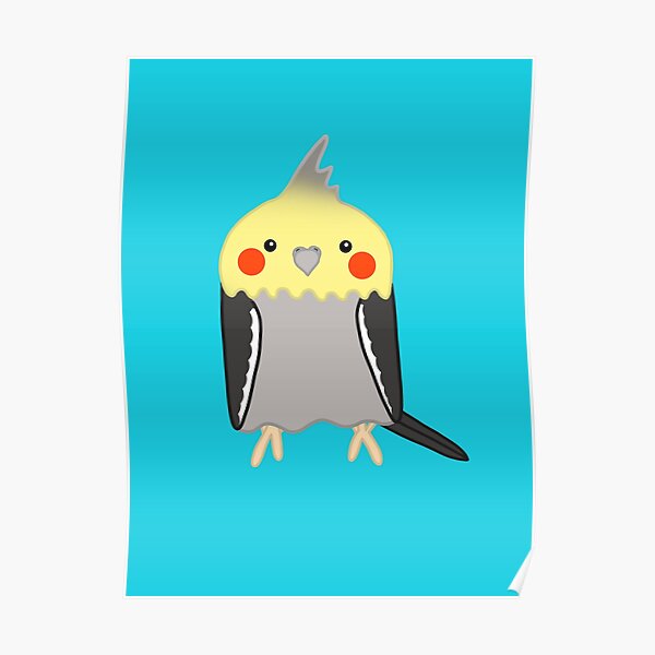 Cute grey yellow cockatiel bird Poster