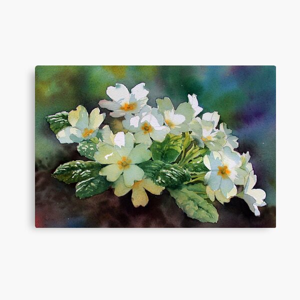 Backlit Primroses Canvas Print