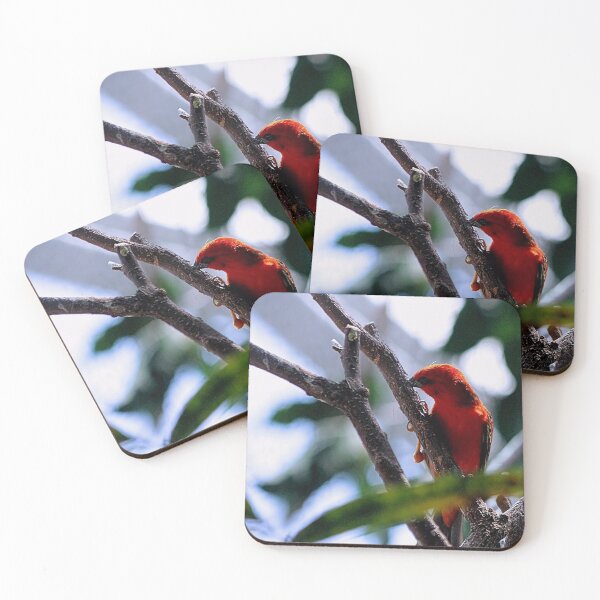 Item preview, LIL RED designed and sold by BOLLA67.