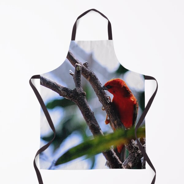 Item preview, LIL RED designed and sold by BOLLA67.