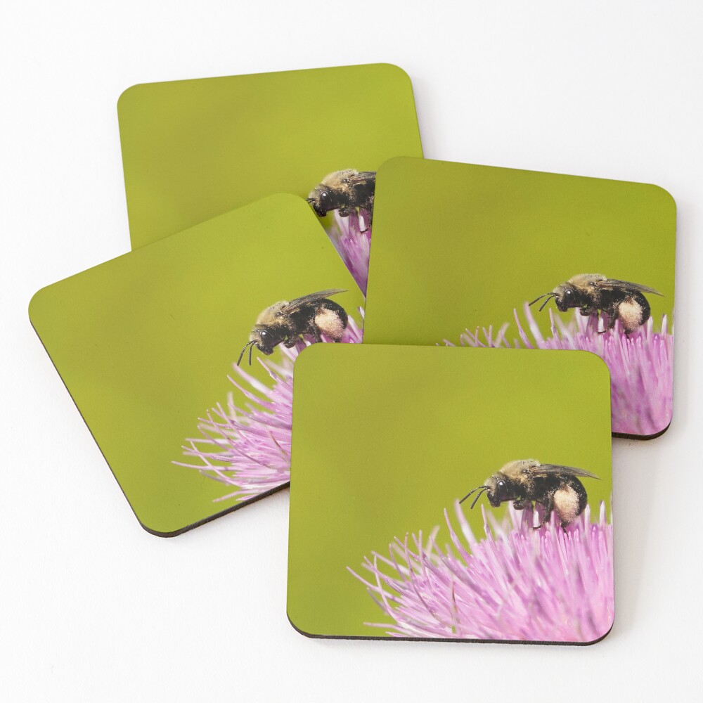 Item preview, Coasters (Set of 4) designed and sold by acwb.