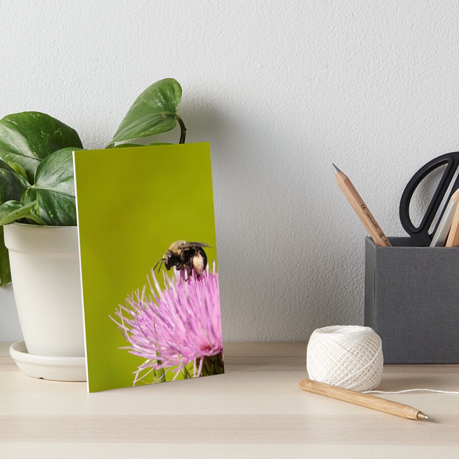 Item preview, Art Board Print designed and sold by acwb.