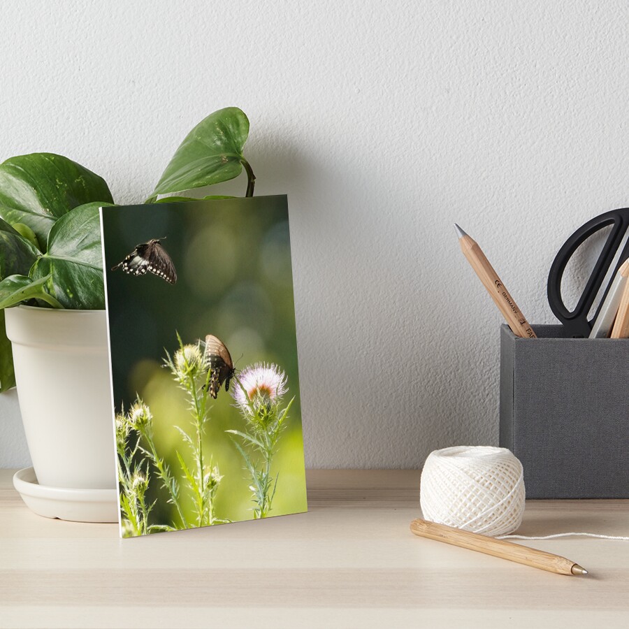 Item preview, Art Board Print designed and sold by acwb.